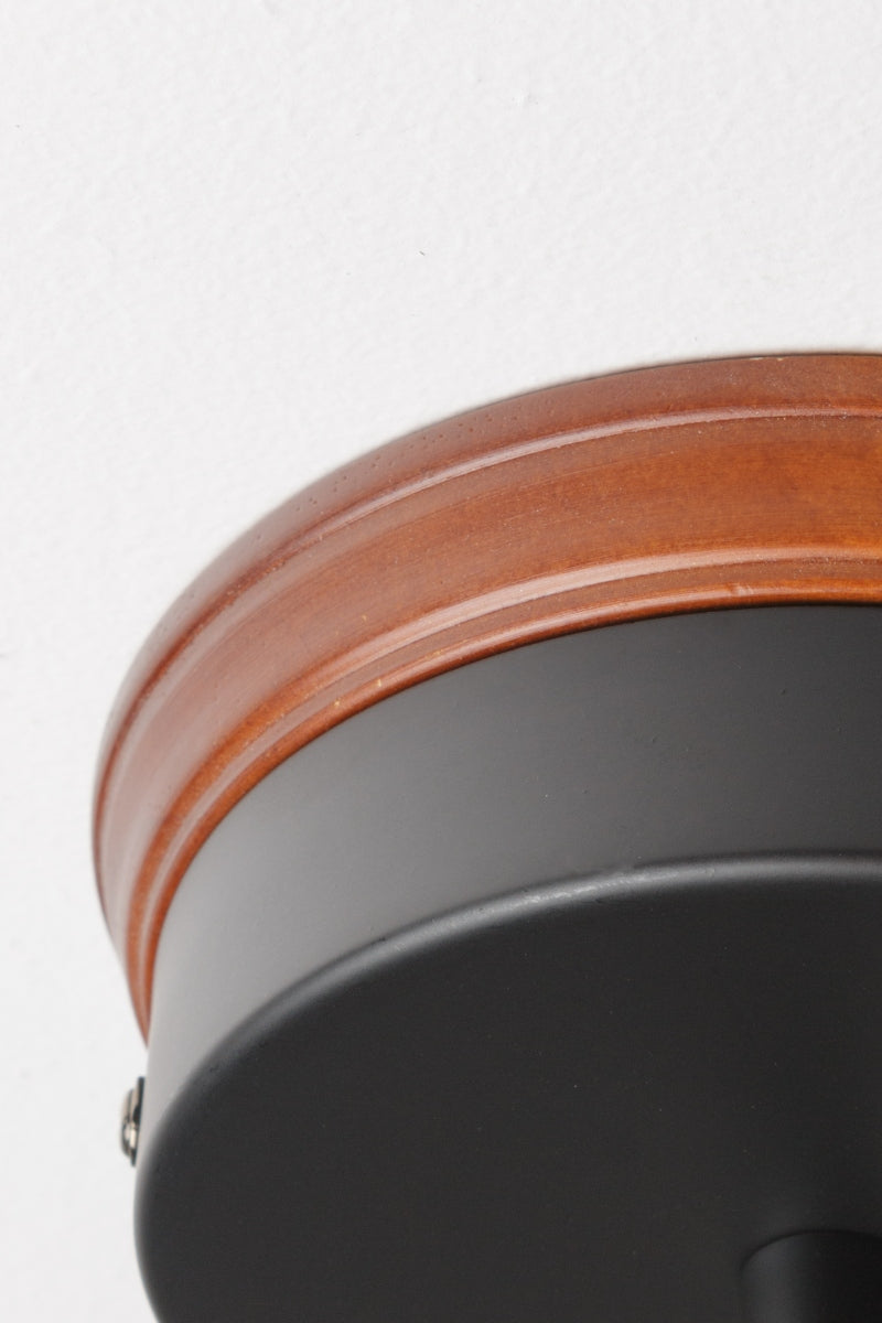 Close up of black ceiling rose and natural mounting block. 