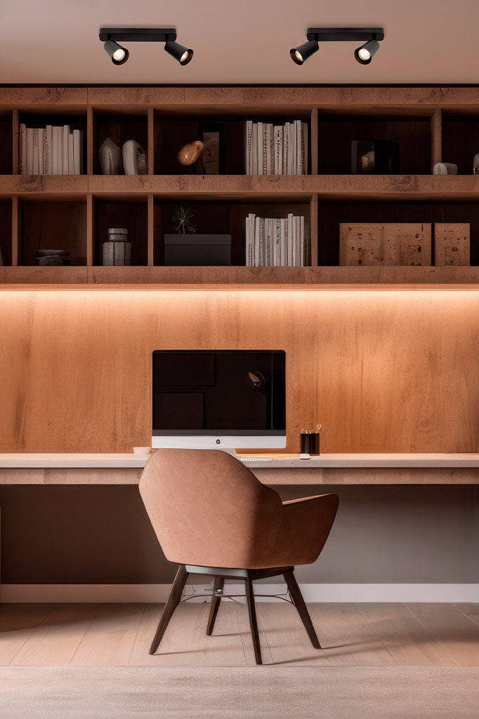 black spotlights with two lights in an office room