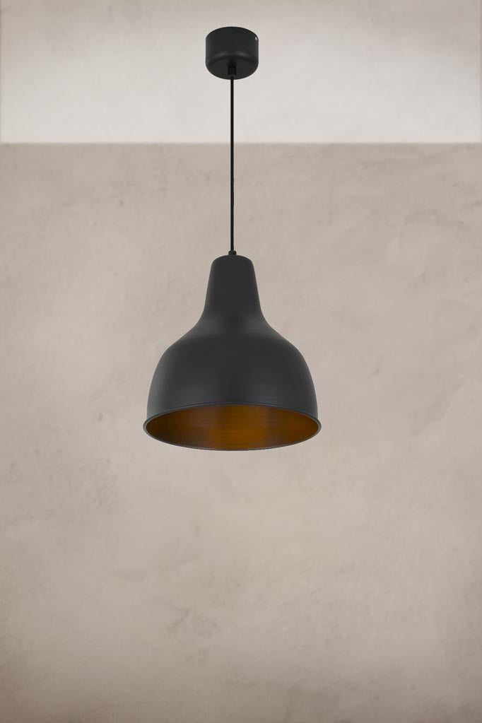 Brookton Pendant Light in black.