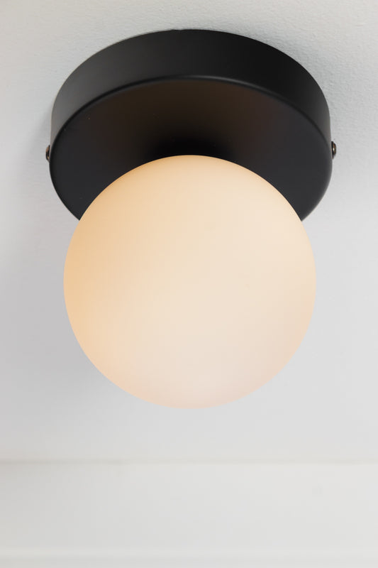 Brooklyn Steel Orb Flush Mount