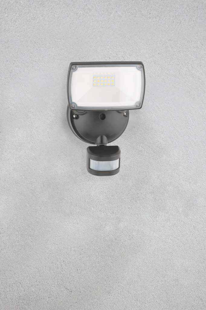 Single head light with sensor