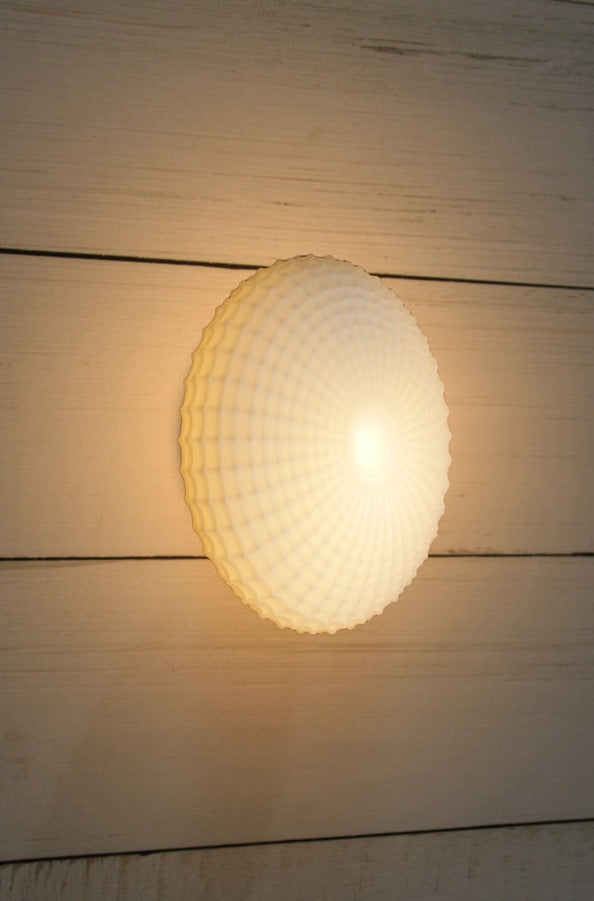 Regents Glass Wall Light on wooden wall 