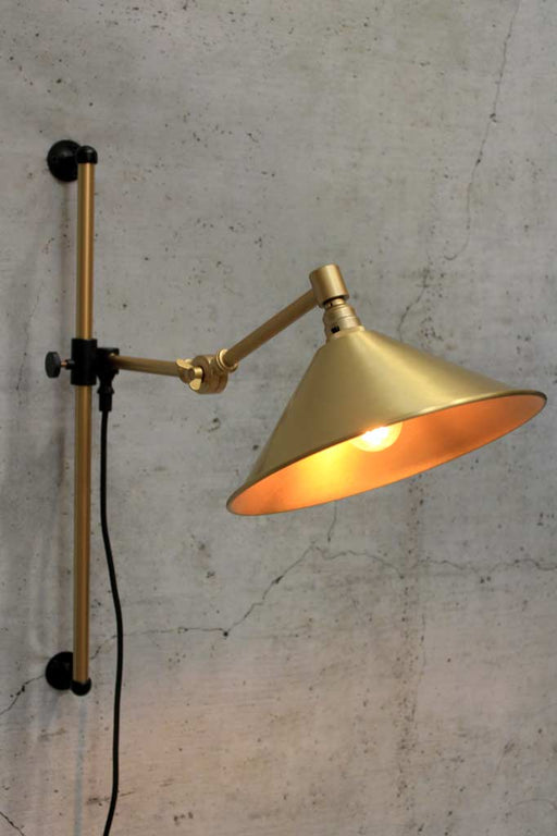 Brass swing arm wall store lamp plug in