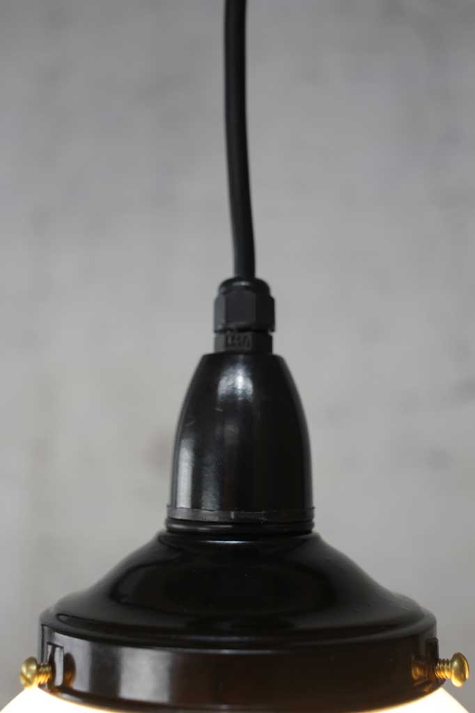 Pendant light with black metal gallery