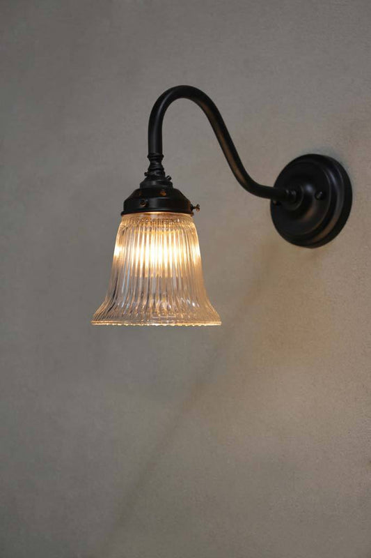 Victoria Gooseneck Wall Light