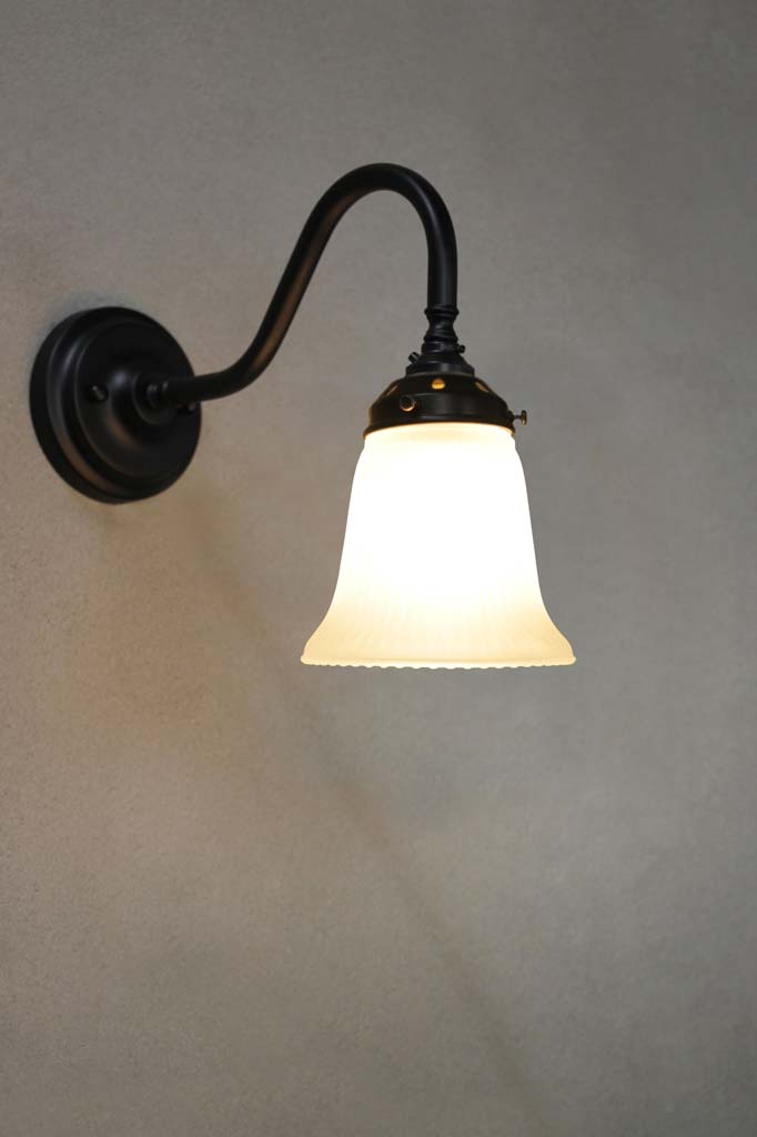 Victoria Gooseneck Wall Light