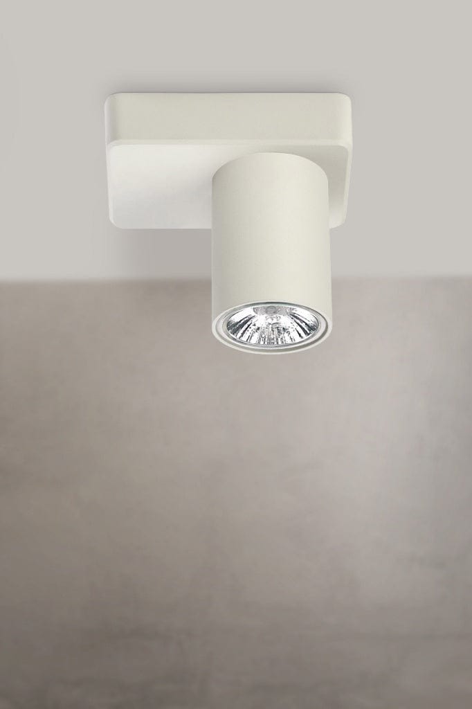 White adjustable spotlight