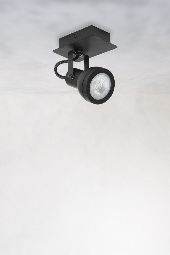 Black adjustable spotlight