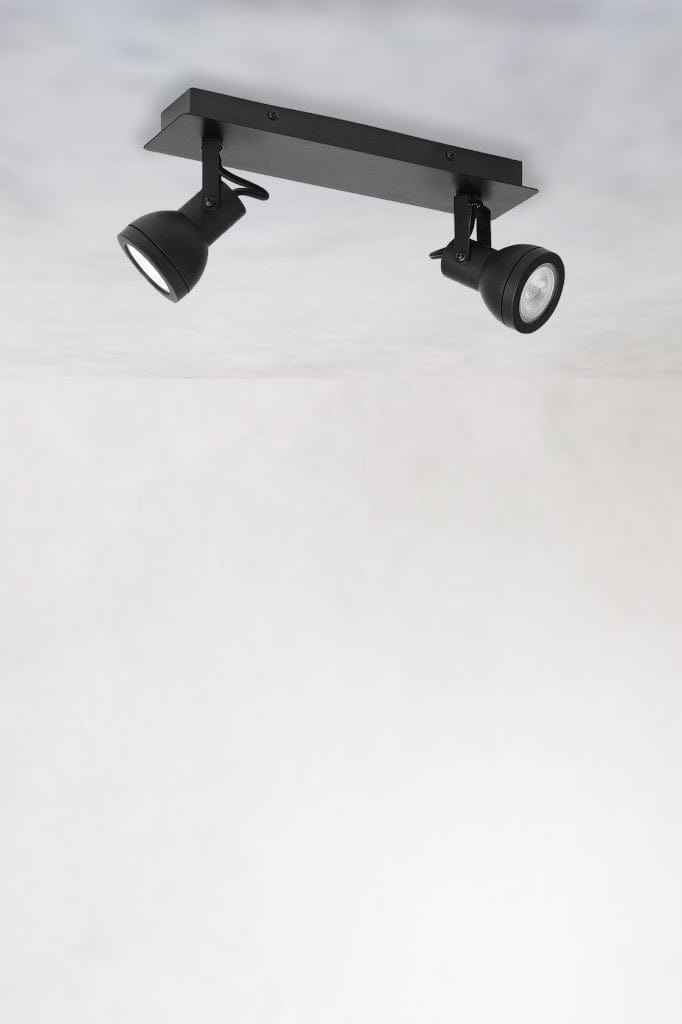 Adjustable 2 light spotlight in black finish