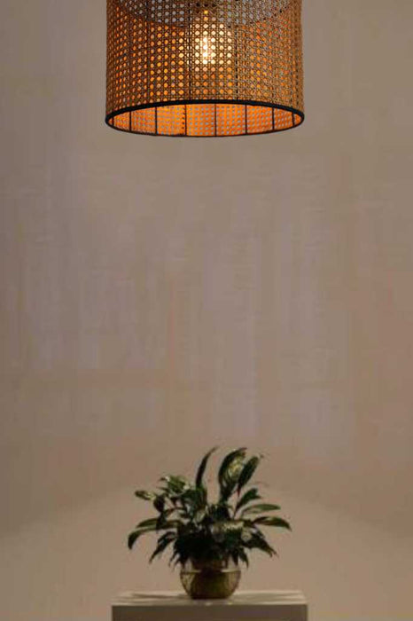 moselle rattan ceiling light