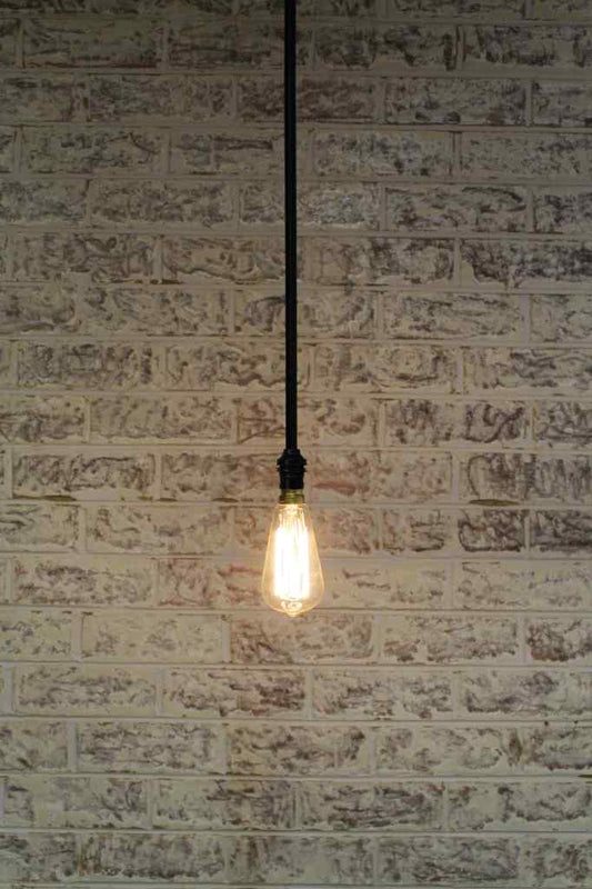 Bare pole pendant with bare bulb and one pole