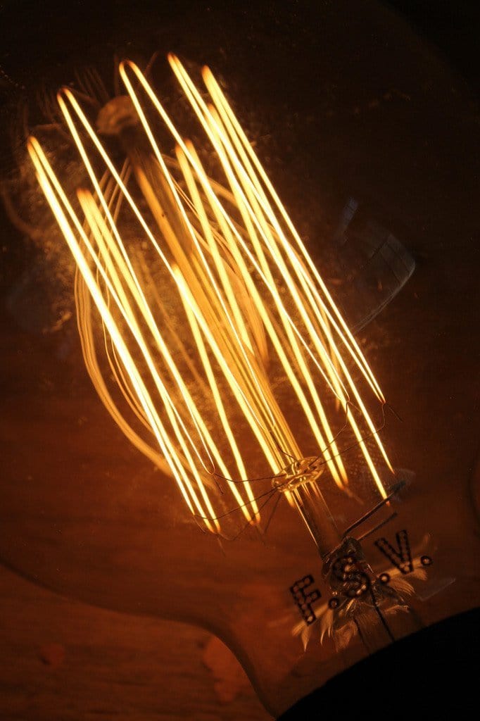 Squirrel cage filament edison bulb round