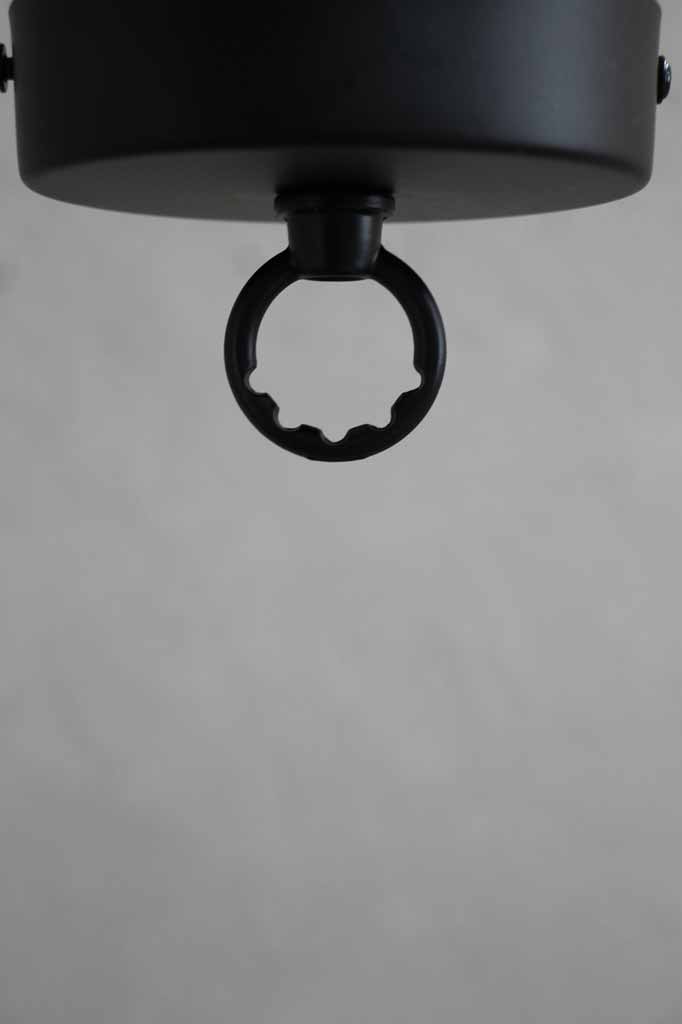 black eyelet ceiling rose on ceiling